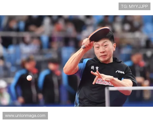 陈恒达关键两分北京队逆转战胜浙江队全运会精彩对决引爆全场